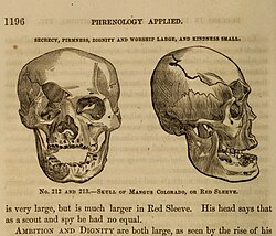 Drawing of Skull of Mangas Coloradas from 1873 book "Human Science" p. 1196 by Orson Squire Fowler
