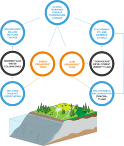 Feedback processes related to land and subsea permafrost.