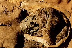 The Skrydstrup Woman was unearthed from a grave mound in Denmark.