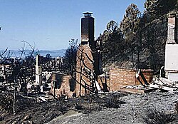 Remains of houses destroyed in the Oakland firestorm of 1991