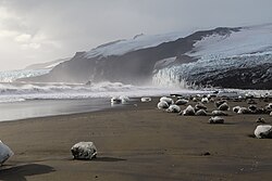 Beach with scattered ice chunks, with a glacier and ice cliffs in the background