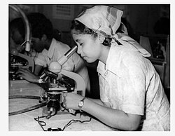 A hospital lab in Aden