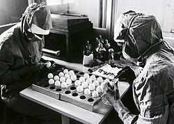 Preparation of measles vaccine at the Tirana (Albania) Institute of Hygiene and Epidemiology. Two technicians, wearing surgical gowns, are making small openings in eggs. (Photo by WHO)