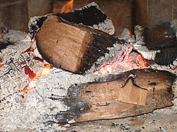 Burning pieces of wood, showing various stages of pyrolysis, followed by oxidative combustion