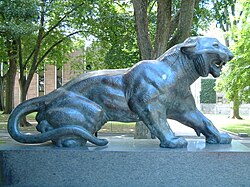 A picture of a tiger statue on Princeton's campus