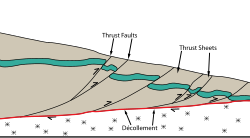 Cross-section diagram of the frontal part of a thin-skinned thrust zone