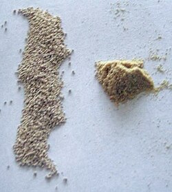 Some winemakers favor the use of freeze-dried cultured yeast (left) and yeast nutrients (right) because of their relative predictability in beginning and completing a fermentation.