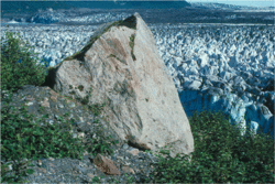 Area exposed by the retreat of Alaska's Steller Glacier in August 1996, the westernmost part of Bering Glacier's piedmont lobe. The ground surface is covered by glacial sediment deposited as lodgement and ablation till. The erratic is an angular, 20-foot-high (6.1 m) piece of gneiss. Bering Glacier, Alaska flows through Wrangell–St. Elias National Park and Preserve.