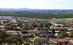 Suburban housing in the regional city of Griffith, New South Wales in Australia