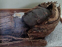 Chinchorro mummies are the oldest artificial mummies on the earth.