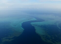 The S-shaped pass (Longogori in Shimaore) is a prime spot for scuba diving