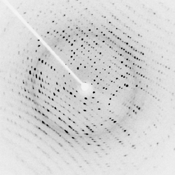 Image of X-ray diffraction pattern from a protein crystal
