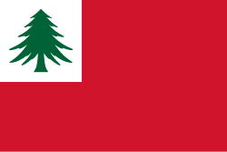 Revolution fans often fly the New England pine flag at matches.[329] The flag has also been incorporated into the club's kit.
