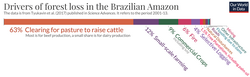 Drivers of forest loss in the Brazilian Amazon. The expansion of agricultural land to raise cattle is by far the most important driver.