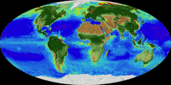 An animation of the changing density of productive vegetation on land (low in brown; heavy in dark green) and phytoplankton at the ocean surface (low in purple; high in yellow)