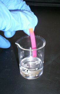 Hydrochloric acid vapor turning pH paper red showing that the fumes are acidic