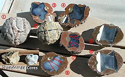 Lithophysae from Richardson Ranch near Madras Oregon. 1, 2. Displaying typical plates and "sutures". 3, 4. A cluster with three spheroid centers. 5, 6. Example of slow fill structure layers with a large opal layer at the bottom. Expansion is controlled by where the water was located in the structure. 7. "Dimple" and "pimple" where expansion began on an inner shell. 8. Fortification agate