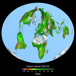 Increase in global leaf area between 1982 and 2015, which was primarily caused by the CO2 fertilization effect[65]