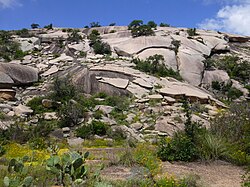 Exfoliation of granite at Enchanted Rock State Natural Area, Texas, USA