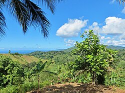 Agricultural landscape of Mayotte, in the Vahibé region (near Passamaïnty) containing most of the typical crops: coconut trees, bananas, breadfruit, papaya tree, mango trees, and manioc