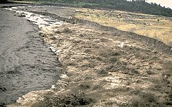 A lahar travels down a river valley in Guatemala near the Santa María volcano, 1989