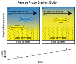 A schematic of gradient elution. Increasing mobile phase strength sequentially elutes analytes having varying interaction strength with the stationary phase.