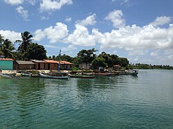 Ribeirinhos dwellings; Ribeirinhos are a traditional rural non-indigenous[b] population in the Amazon rainforest, who live near rivers.