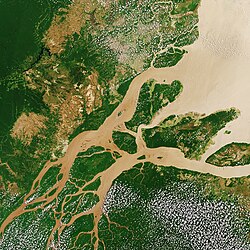 A satellite perspective of the Amazon Delta, in South America.