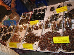 Many different insects are edible; Grasshoppers, silkworms, and bamboo worms (some of the insects in the picture) are just a few of the options.
