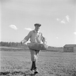 A farmer broadcasting solid fertilizer into his field in Janakkala, Finland in 1960