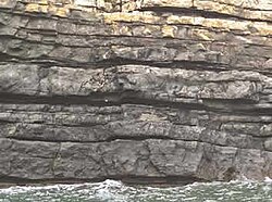 Turbidite sequence. Carboniferous Ross Sandstone Formation (Namurian), County Clare, Western Ireland (USGS image)