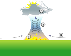 Firestorm schematic: (1) fire, (2) updraft, (3) strong gusty winds, (A) pyrocumulonimbus cloud