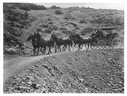 Santa Catalina Island, circa 1895-1900