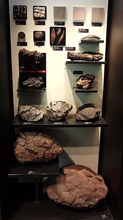 Various volcanic bombs in the National Museum of Nature and Science, Tokyo, Japan