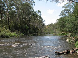 The river through Wonga Park