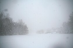 Conditions approaching a blizzard whiteout in Minnesota, on March 1, 2007. Note the unclear horizon near the center.