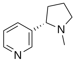 The molecular structure of nicotine, as depicted using a two-dimensional model. Nicotine is a highly addictive psychotropic drug and stimulant alkaloid, the main psychoactive constituent of tobacco.