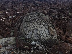 Desquamation of dunite boulder