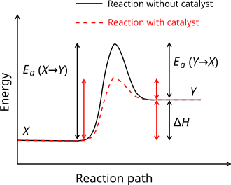 Reaction coordinate diagram showing how a catalyst lowers the activation energy in an exothermic reaction.
