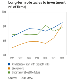 Long-term obstacles to investment for European firms, as found in survey conducted in Europe