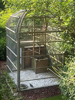 Home aviary, Néthen, Belgium, non-commercial wooden construction