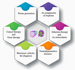 Schematic of carbon nanotubes applications in biomedicine Nanomaterials 2024, 14, 756. https://doi.org/10.3390/nano14090756 PMCID: PMC11085746