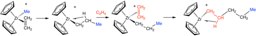 Simplified mechanism for Zr-catalyzed ethylene polymerization.