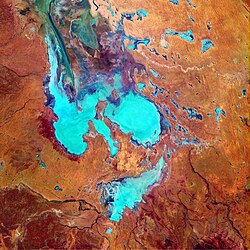 A false-colour satellite photo of Australia's Lake EyreImage credit: NASA's Earth Observatory