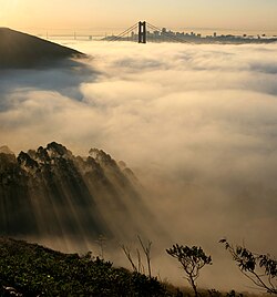 Advection fog layer in San Francisco with the Golden Gate Bridge and skyline in the background