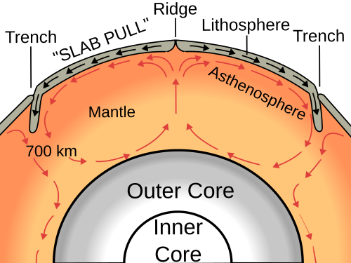 The simplified model of mantle convection:[5] Oceanic plates are subducted creating oceanic trenches.