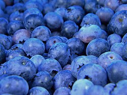 Wild low-bush blueberries are only produced commercially in Maine.[129]