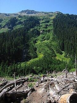 Avalanche path with 800 metres (2,600 ft) vertical fall in the Glacier Peak Wilderness, Washington state. Avalanche paths in alpine terrain may be poorly defined because of limited vegetation. Below tree line, avalanche paths are often delineated by vegetative trim lines created by past avalanches. The start zone is visible near the top of the image, the track is in the middle of the image and clearly denoted by vegetative trimlines, and the runout zone is shown at the bottom of the image. One possible timeline is as follows: an avalanche forms in the start zone near the ridge, and then descends the track, until coming to rest in the runout zone.