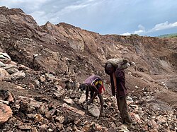 Miners collecting cobalt in the Democratic Republic of the Congo