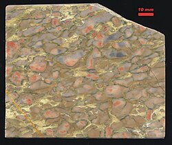 Devonian nodular limestone